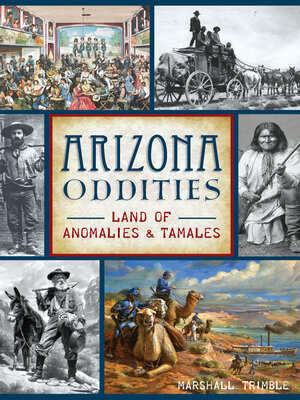 Arizona Oddities - ebook